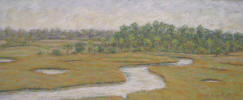 A Cloudy Day at Spruce Creek