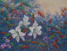 Amaryllis