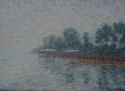 Mist at Osprey Cove