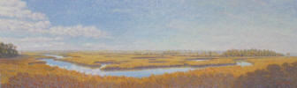 Panorama of Spruce Creek