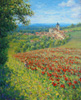 Poppies at Chavanges