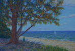 Skyway Bridge from Fort de Soto Park