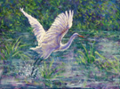 Taking Off
