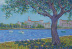 Vinoy Park