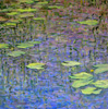 Violet Ripples