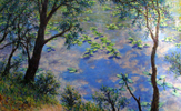Waterlilies in Glories